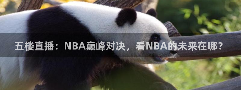 360免费观看体育直播：五楼直播：NBA巅峰对决，看NBA的未来在哪？