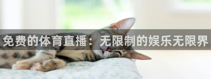 360直播 体育：免费的体育直播：无限制的娱乐无限界
