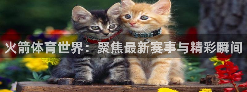 雨燕360免费体育直播：火箭体育世界：聚焦最新赛事与精彩瞬间