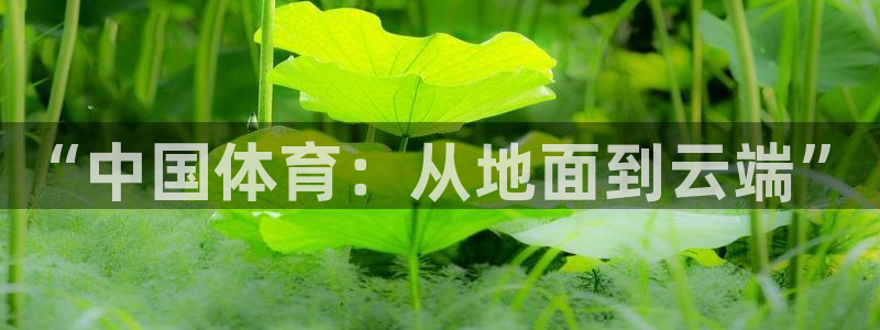 360体育直播在线观看中超直播：“中国体育：从地面到云端”