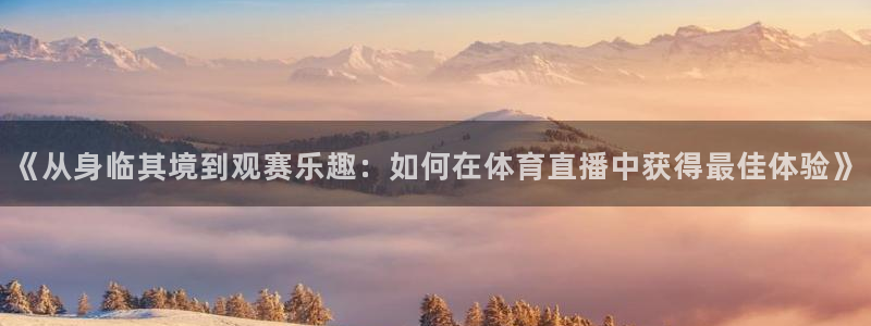 雨燕直播360高清直播足球：《从身临其境到观赛乐趣：如何在体育直播中获得最佳体验》