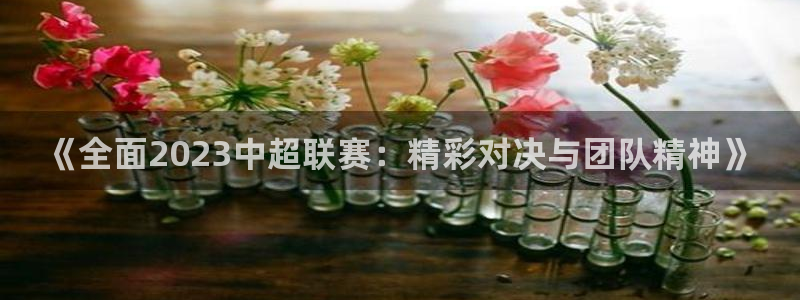 360直播球赛：《全面2023中超联赛：精彩对决与团队精神》