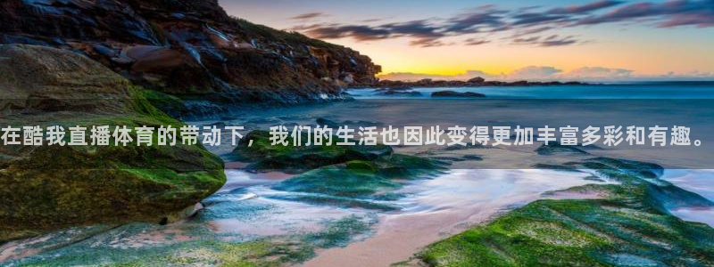 nba直播雨燕360平台：在酷我直播体育的带动下，我们的生活也因此变得更加丰富多彩和有趣。