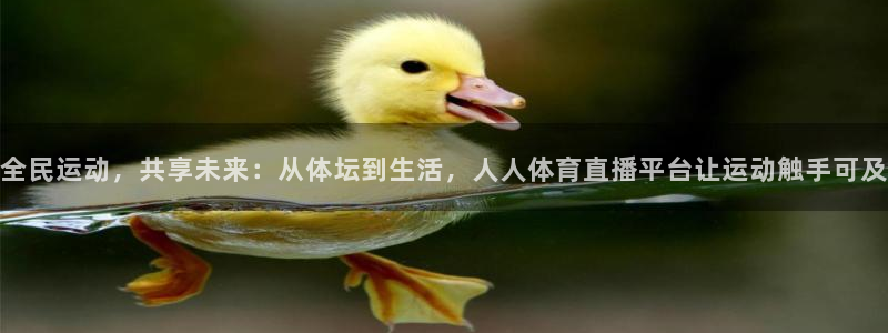 360足球直播吧直播间：全民运动，共享未来：从体坛到生活，人人体育直播平台让运动触手可及