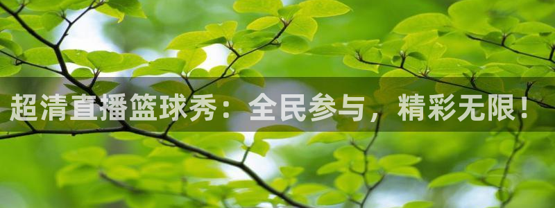 360体育直播在线观看免费：超清直播篮球秀：全民参与，精彩无限！