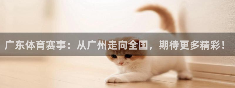 360直播体育在线观看：广东体育赛事：从广州走向全国，期待更多精彩！