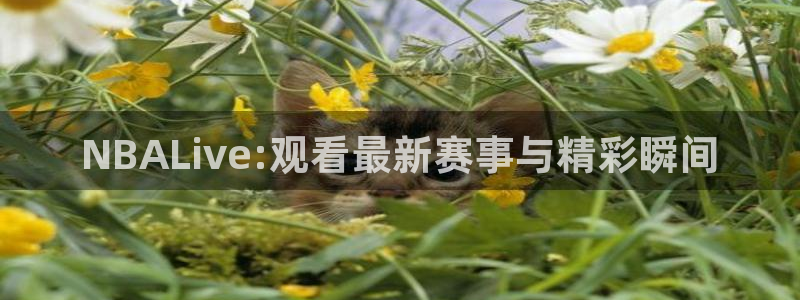 360免费直播体育直播在线观看：NBALive:观看最新赛事与精彩瞬间