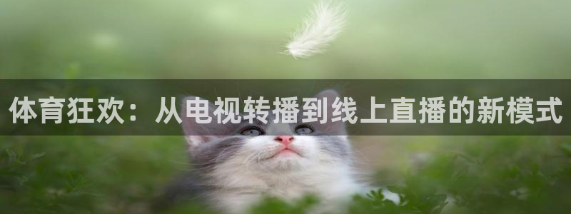 360直播体育赛事直播：体育狂欢：从电视转播到线上直播的新模式