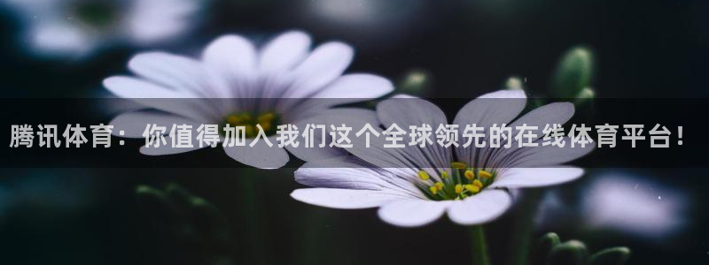 360绿色直播体育直播nba直播：腾讯体育：你值得加入我们这个全球领先的在线体育平台！