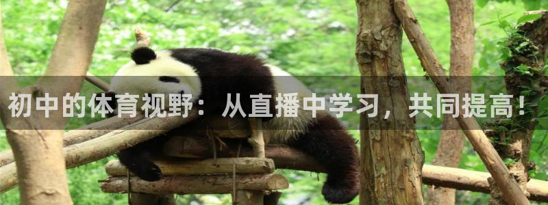 360足球直播视频在线直播观看免费：初中的体育视野：从直播中学习，共同提高！