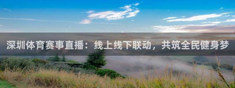 360直播 nba：深圳体育赛事直播：线上线下联动，共筑全民健身梦